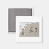 海岸線におけるサンピパーズ マグネット (正面/裏面)