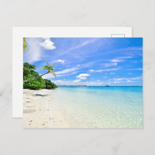 海岸線における樹木の景観写真 シーズンポストカード (正面/裏面)