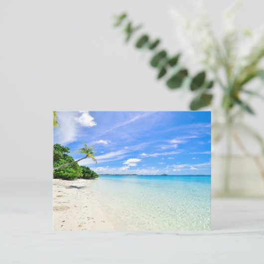 海岸線における樹木の景観写真 ポストカード (スタンド正面)