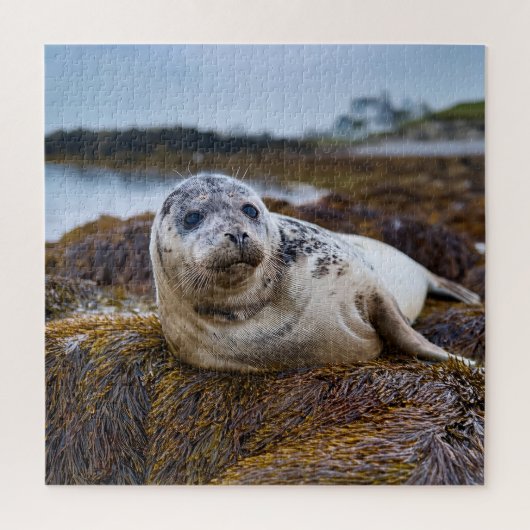 海岸線における静粛性の封印 ジグソーパズル (縦)