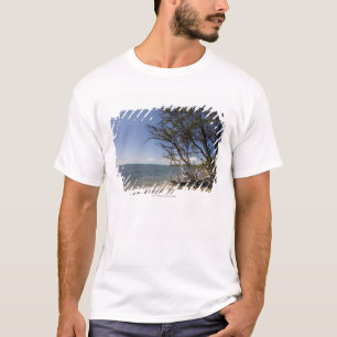 海岸線に沿うビーチの木 Tシャツ