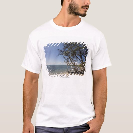 海岸線に沿うビーチの木 Tシャツ (正面)