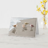 海岸線のシギ カード (黄色い花)