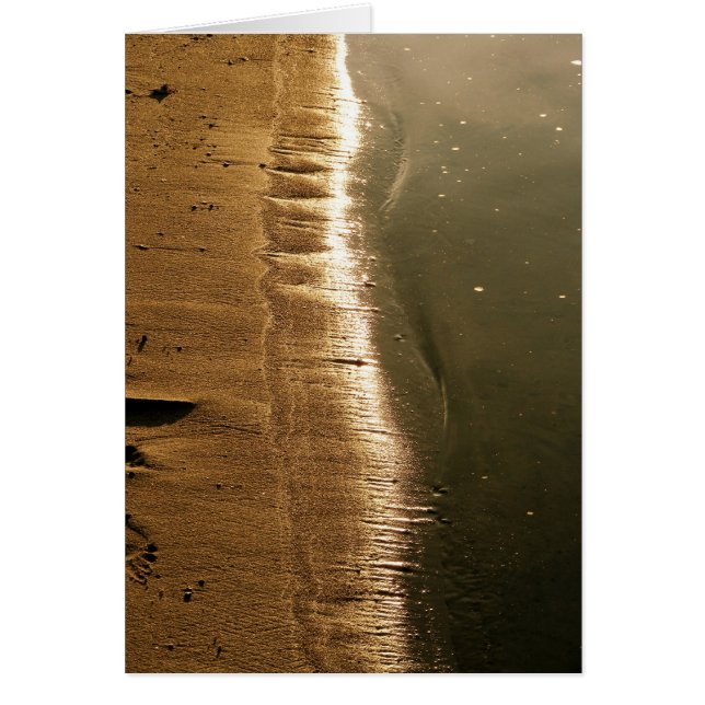 海岸線の日没 (正面)