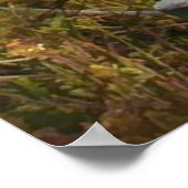 海岸線への海経路 ポスター (角)