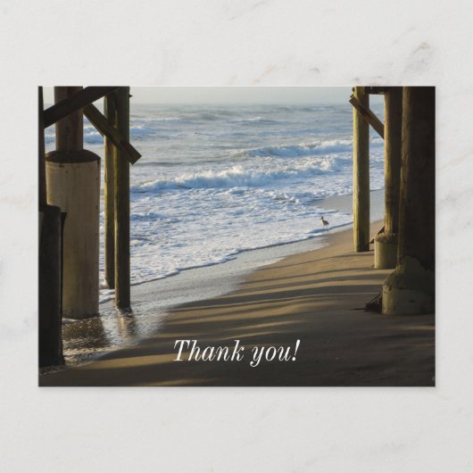 海岸線をチェック ポストカード (正面)