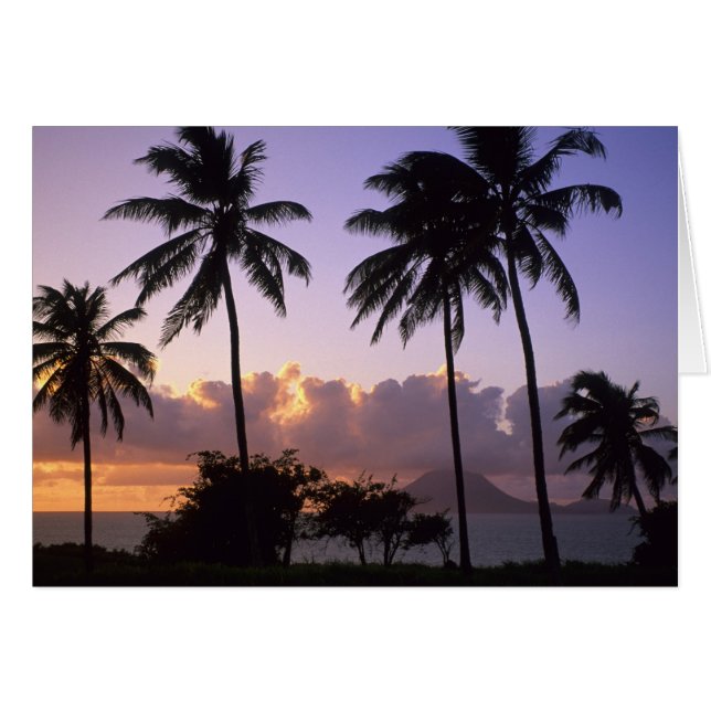 海岸線セントキッツ (正面横)