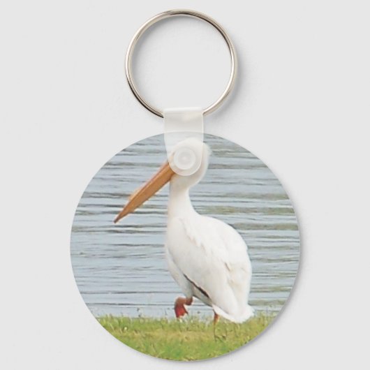 海岸線沿いの白いペリカン キーホルダー (正面)