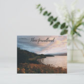 海岸線沿いの花のフィールドNewfoundland ポストカード (スタンド正面)