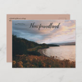 海岸線沿いの花のフィールドNewfoundland ポストカード (正面/裏面)