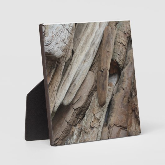 海岸線流木写真 フォトプラーク (正面)