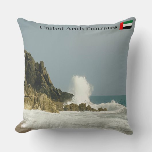 海岸線美しい クッション (正面)