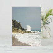 海岸線美しい シーズンカード (スタンド正面)