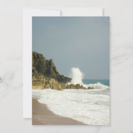 海岸線美しい シーズンカード