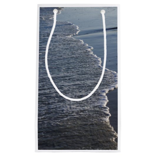 海岸線美しい スモールペーパーバッグ (正面)