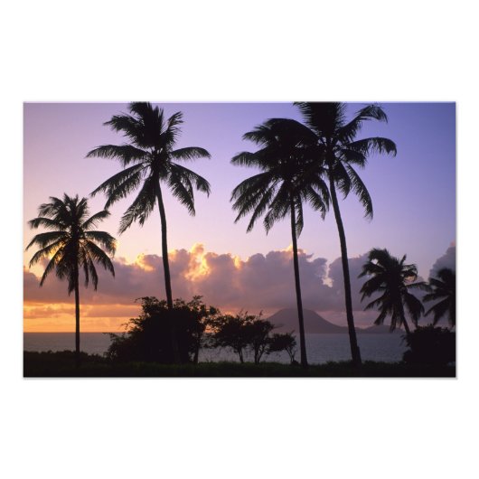 海岸線聖キッツ フォトプリント            (正面)