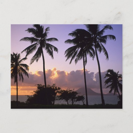 海岸線聖キッツ ポストカード (正面)