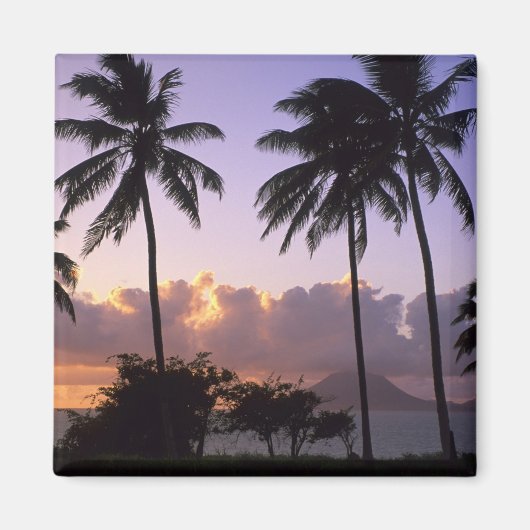 海岸線聖キッツ マグネット (正面)