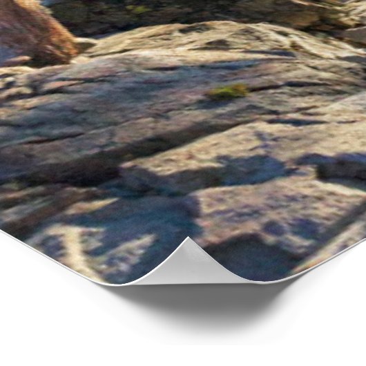 海岸線 カリフォルニア州タホ湖エメラルド湾 ポスター (角)