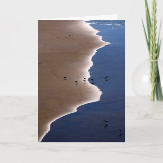 海岸線 カード (正面)