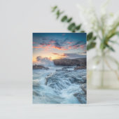 海岸線 |カーメル・カリフォルニア ポストカード (スタンド正面)