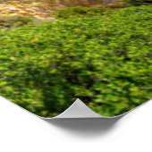 海岸線 |ギリシャ・コルフ，パラアイオカストリッサ ポスター (角)