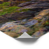 海岸線 |スクーナーヘッド、アカディア国立公園 ポスター (角)