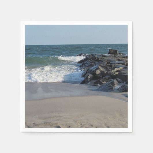 海岸線 スタンダードカクテルナプキン (正面)