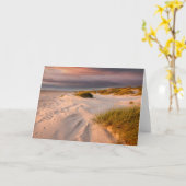 海岸線 |デンマーク，サルタムビーチ カード (黄色い花)