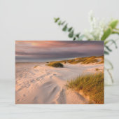 海岸線 |デンマーク，サルタムビーチ サンキューカード (スタンド正面)