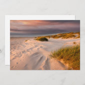 海岸線 |デンマーク，サルタムビーチ サンキューカード (正面/裏面)