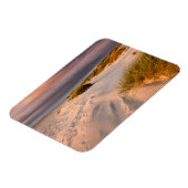 海岸線 |デンマーク，サルタムビーチ マグネット (左側)