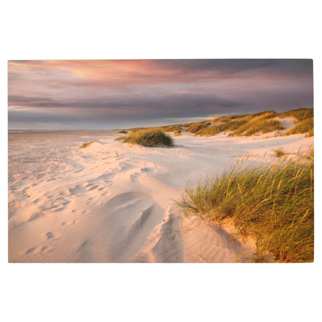 海岸線 |デンマーク，サルタムビーチ メタルプリント (正面)
