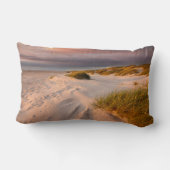 海岸線 |デンマーク，サルタムビーチ ランバークッション (裏面)