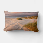 海岸線 |デンマーク，サルタムビーチ ランバークッション (正面)