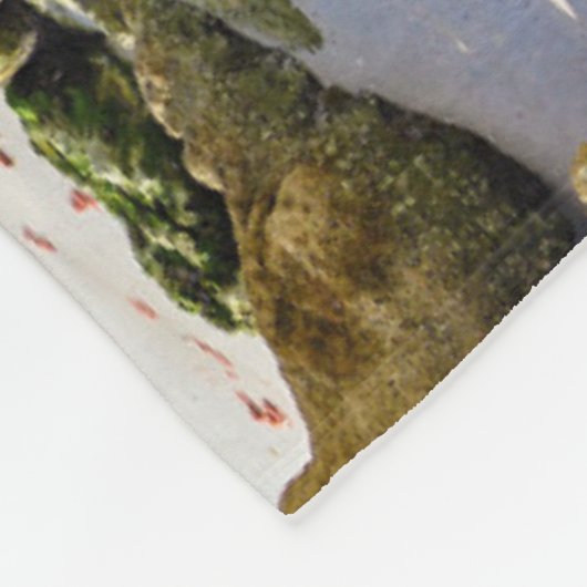 海岸線 |ナポリ桟橋、フロリダ州南西部 フリースブランケット (角)