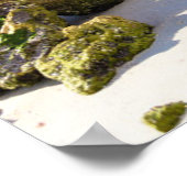 海岸線 |ナポリ桟橋、フロリダ州南西部 ポスター (角)