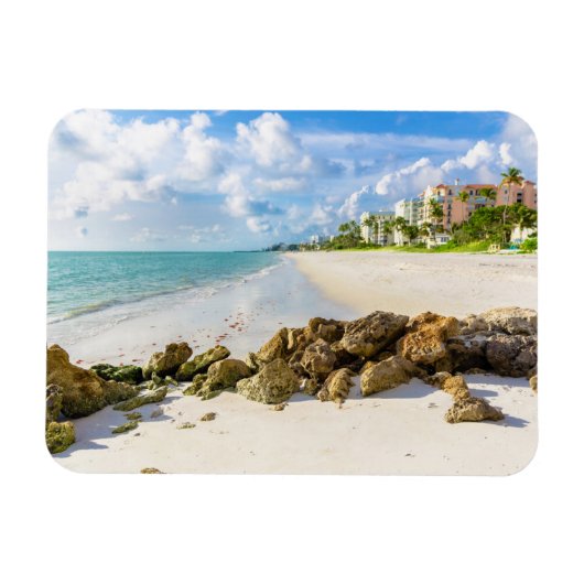 海岸線 |ナポリ桟橋、フロリダ州南西部 マグネット (横)