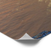 海岸線 ポスター (角)