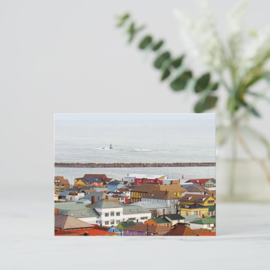 海岸線 ポストカード (スタンド正面)