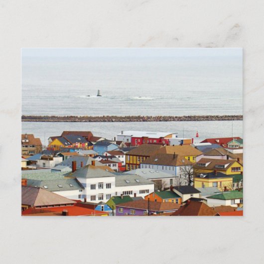 海岸線 ポストカード (正面)