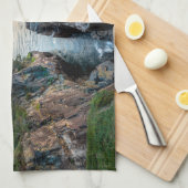 海岸線 |メイン州アカディア国立公園 キッチンタオル (四つ折り)