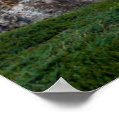 海岸線 |メイン州アカディア国立公園 ポスター (角)