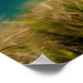 海岸線 | New South Wales，オーストラリア ポスター (角)