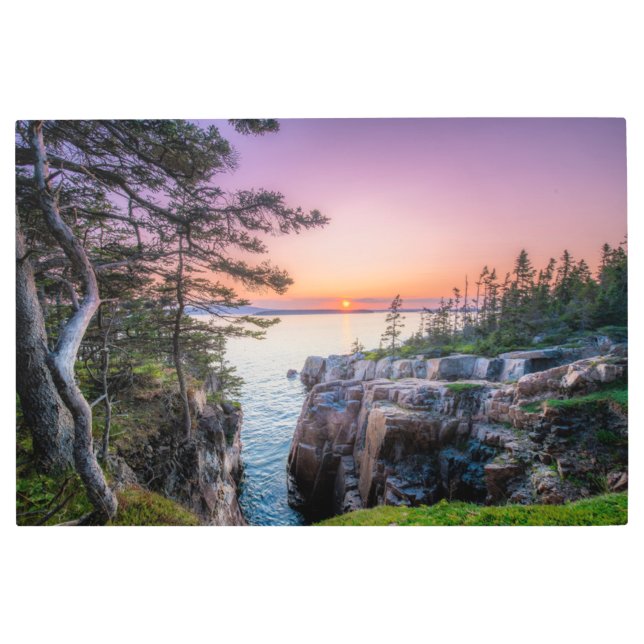 海岸線 | Ravens Nest Acadiaナショナルパークメイン メタルプリント (正面)