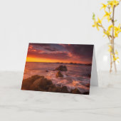 海岸線 | Sunset Pacific Grove Carmel California カード (黄色い花)