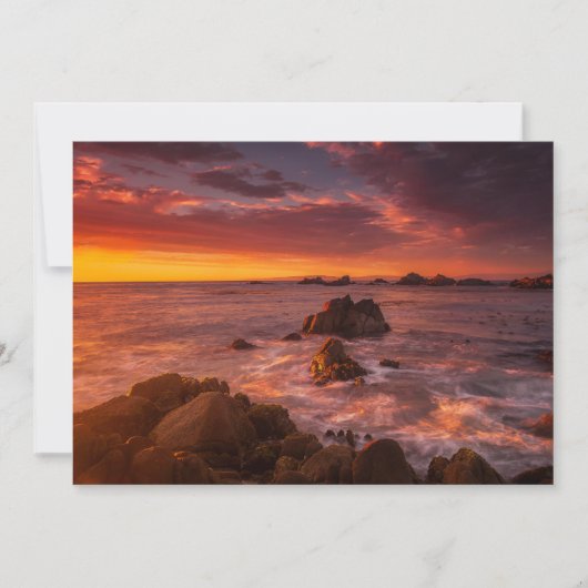 海岸線 | Sunset Pacific Grove Carmel California サンキューカード (正面)