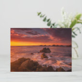 海岸線 | Sunset Pacific Grove Carmel California サンキューカード (スタンド正面)