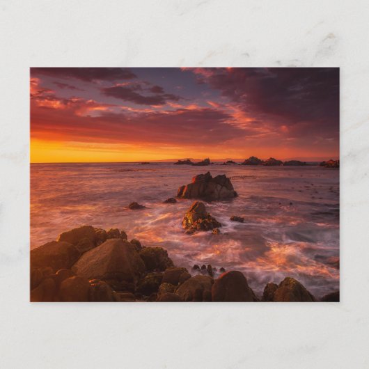 海岸線 | Sunset Pacific Grove Carmel California ポストカード (正面)