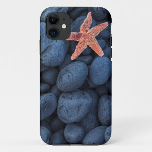 海岸 アイスランドに沿う黒い石のヒトデ iPhone 11 ケース